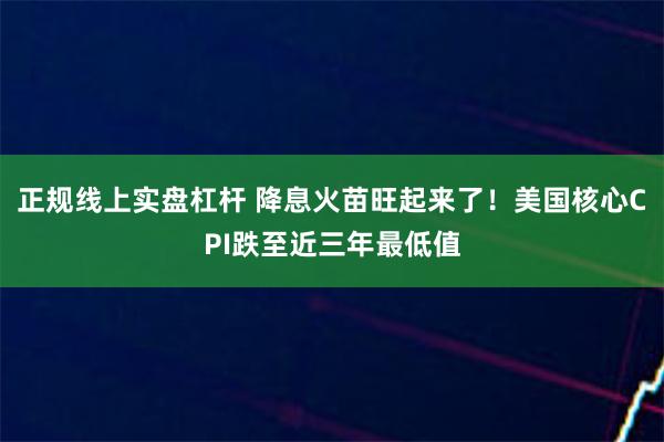 正规线上实盘杠杆 降息火苗旺起来了!美国核心CPI跌至近三年最低值