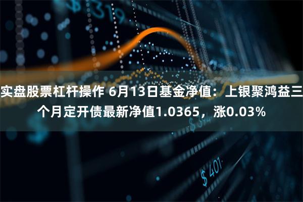 实盘股票杠杆操作 6月13日基金净值:上银聚鸿益三个月定开债最新净值1.0365,涨0.03%