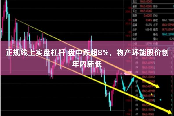 正规线上实盘杠杆 盘中跌超8%，物产环能股价创年内新低