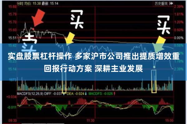 实盘股票杠杆操作 多家沪市公司推出提质增效重回报行动方案 深耕主业发展