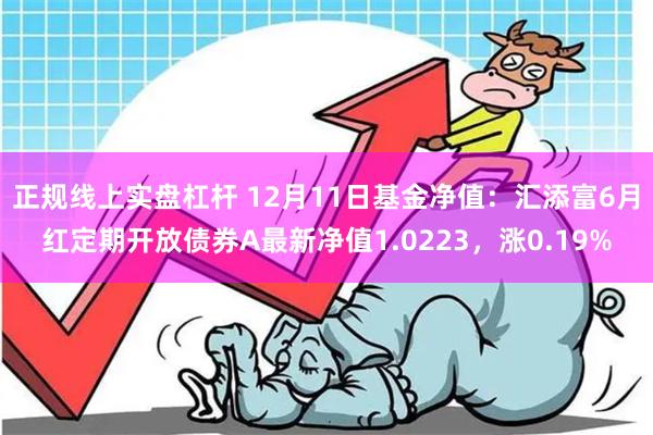 正规线上实盘杠杆 12月11日基金净值:汇添富6月红定期开放债券A最新净值1.0223,涨0.19%