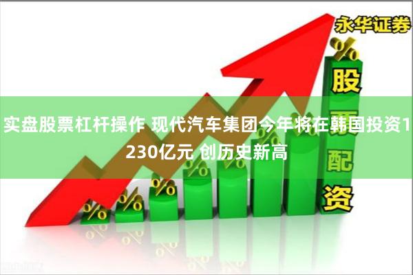实盘股票杠杆操作 现代汽车集团今年将在韩国投资1230亿元 创历史新高