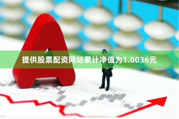 提供股票配资网站累计净值为1.0036元